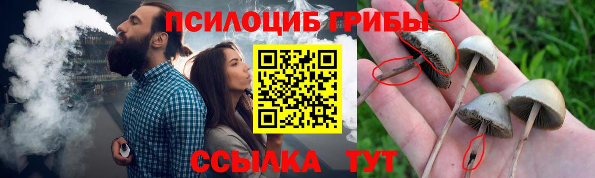 Псилоцибиновые грибы Magic Shrooms  Вход с VPN  наркота  Галлюциногенные грибы мицелий  Назарово 